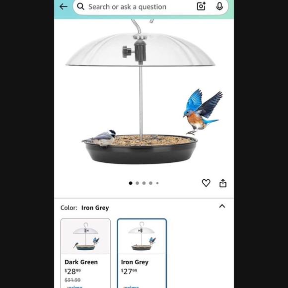 Transparent Dome Bird Feeder - Picture 1 of 2